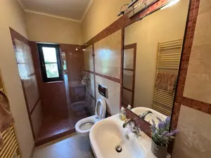 Resedinta de lux in Chisoda   oaza de eleganta pe un domeniu de 1.800 mp - imagine 7