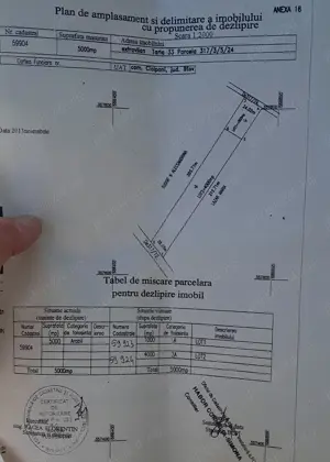 Teren de vanzare Ciolpani Ilfov