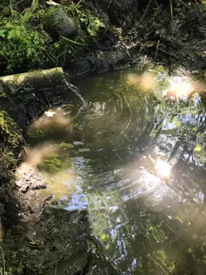 Teren in Câmpul Cetății  - imagine 3