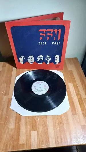 Discuri vinyl rock pentru colectionari