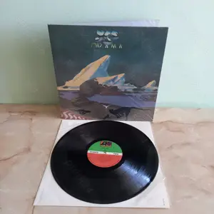 discuri vinyl colectionari