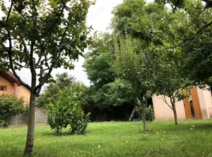 Teren P+1E zona rezidentiala Dambovita | 306 mp | FS 17m | langa Mall Shopping City - imagine 4