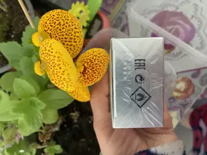 Mister Giordani - apă de toaletă + roll on  - imagine 5