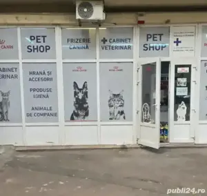 Angajez Vânzătoare