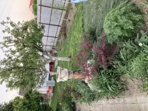 Vila în Lilieci  - imagine 8