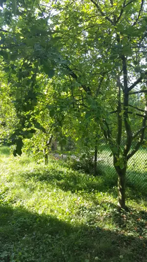 Casa de vanzare - imagine 9