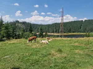 Vând teren si casa istorica Giurcuța de Sus pe malul lacului  - imagine 5
