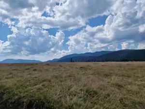 Vând teren si casa istorica Giurcuța de Sus pe malul lacului  - imagine 6