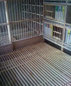 Grătare pentru porumbei