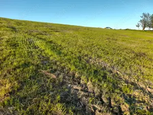 Teren extravilan  , oportunitate    - imagine 5 Teren extravilan  , oportunitate    - imagine 5