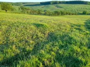 Teren extravilan  , oportunitate    - imagine 4 Teren extravilan  , oportunitate    - imagine 4