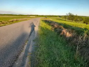 Teren extravilan  , oportunitate    - imagine 7 Teren extravilan  , oportunitate    - imagine 7