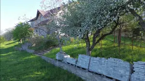 Teren 4800 mp cu Livada si Casa Nefinalizata - Adancata! - imagine 12