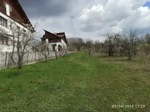 Teren de vanzare in Cornu - PH - imagine 3