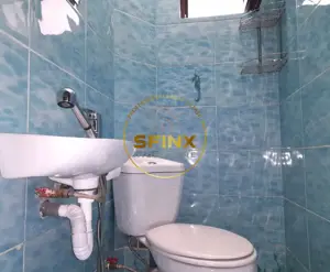 Ferdinand-apartam. 4 camere in vila-zona de case-posibilitate usoara de parcare - imagine 18