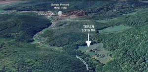 Teren de vânzare – Colonia 1 Mai, 5.310 mp, ideal pentru investiție - imagine 10