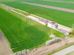 Casa + teren + hala de vanzare in Beregsau – 0% Comision - imagine 2