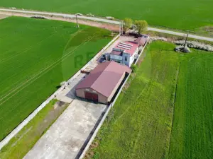 Casa + teren + hala de vanzare in Beregsau – 0% Comision - imagine 3