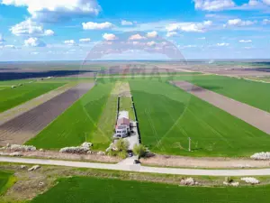 Casa + teren + hala de vanzare in Beregsau – 0% Comision - imagine 19