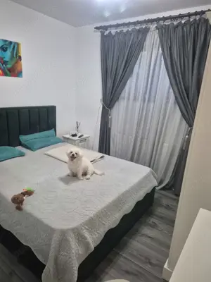 Apartament 2 camere - imagine 2