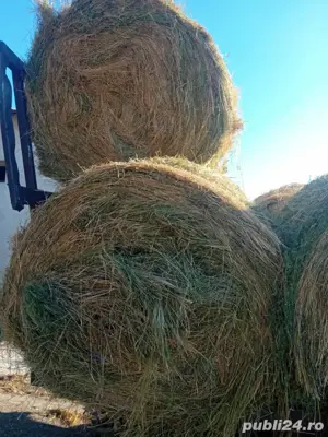 transport baloți de lucernă rotunzi 130 x120 - imagine 3