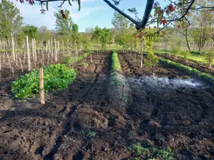 Casă cu Grădină - Greceanca - imagine 3 Casă cu Grădină - Greceanca - imagine 3