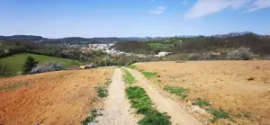 Parcele intravilan cu extravilan Calea Caransebesului km 2 loturi de 1000 mp negociabil - imagine 2