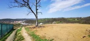 Parcele intravilan cu extravilan Calea Caransebesului km 2 loturi de 1000 mp negociabil - imagine 8