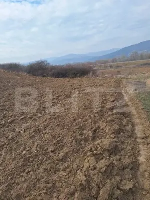 Teren in Salistea, 15800 mp - imagine 2