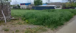 Teren intravilan  - imagine 5