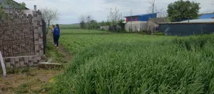 Teren intravilan  - imagine 6