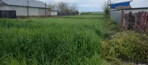 Teren intravilan  - imagine 7