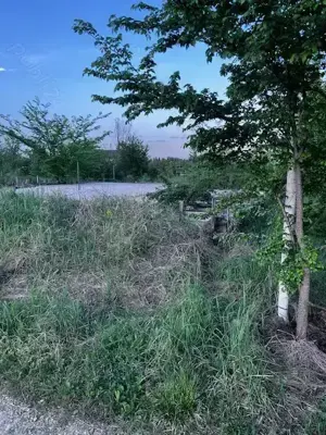 Terenuri de vanzare Ciolpani,sat Piscu,zona linistita,fara tranzit,aproape de padurea Scrovistea. - imagine 4