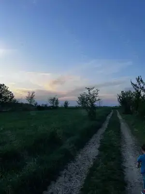 Terenuri de vanzare Ciolpani,sat Piscu,zona linistita,fara tranzit,aproape de padurea Scrovistea. - imagine 6
