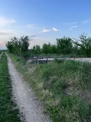 Terenuri de vanzare Ciolpani,sat Piscu,zona linistita,fara tranzit,aproape de padurea Scrovistea. - imagine 5