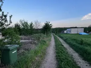 Terenuri de vanzare Ciolpani,sat Piscu,zona linistita,fara tranzit,aproape de padurea Scrovistea. - imagine 8
