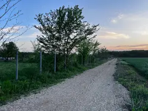 Terenuri de vanzare Ciolpani,sat Piscu,zona linistita,fara tranzit,aproape de padurea Scrovistea. - imagine 10