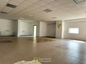 Hala de vanzare Arad, Strada Padurii - imagine 8