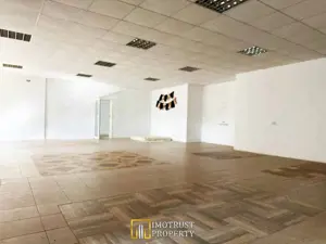 Hala de vanzare Arad, Strada Padurii - imagine 7