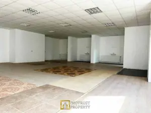 Hala de vanzare Arad, Strada Padurii - imagine 6