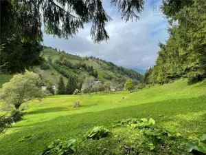 OPORTUNITATE! Teren intravilan SIMON BRAN cu Autorizatie construire