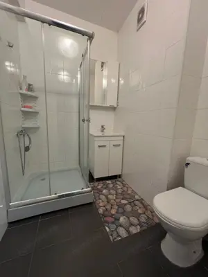 De inchiriat o camera zona Horea