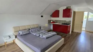 Casa de Vacanta la Munte - Dorna Arini! Vatra Dornei!! De Vanzare! 0727817187 - imagine 16 Casa de Vacanta la Munte - Dorna Arini! Vatra Dornei!! De Vanzare! 0727817187 - imagine 16