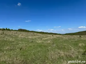 48 Hectare Teren extravilan arabil 5800 Ha euro - imagine 5