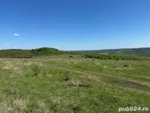48 Hectare Teren extravilan arabil 5800 Ha euro - imagine 4