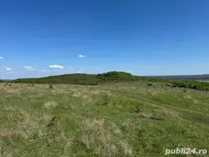 48 Hectare Teren extravilan arabil 5800 Ha euro - imagine 2