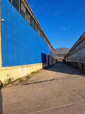 Hale, depozite si birouri - imagine 3