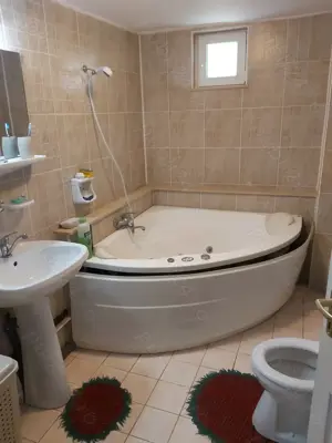 Vand casa Bagara (Aghiresu) - imagine 6