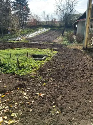 Vand casa Bagara (Aghiresu) - imagine 9