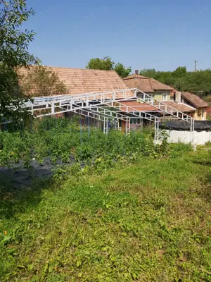 Vand casa Bagara (Aghiresu) - imagine 10